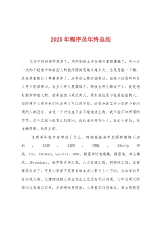 2025年程序员年终总结