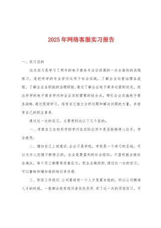 2025年网络客服实习报告