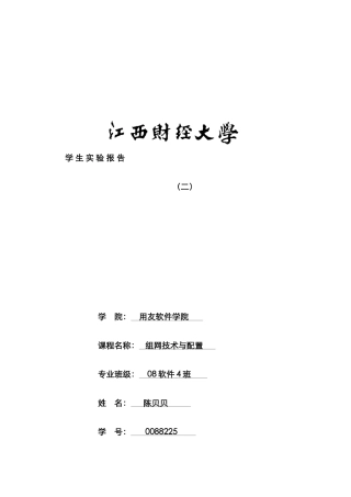 2025年网络组建实验报告