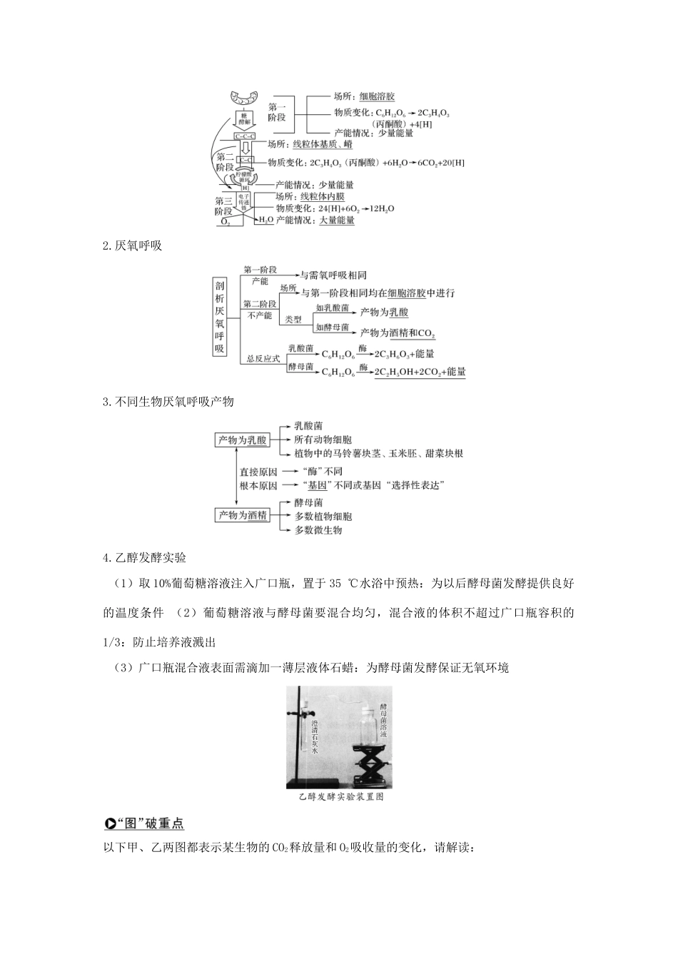 （浙江选考）高考生物一轮复习 第6讲 细胞呼吸学案-人教版高三全册生物学案_第3页
