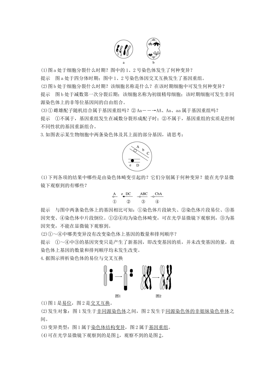 （浙江选考）高考生物一轮总复习 第六单元 生物变异、育种和进化 第19讲 生物的变异与育种学案-人教版高三全册生物学案_第3页