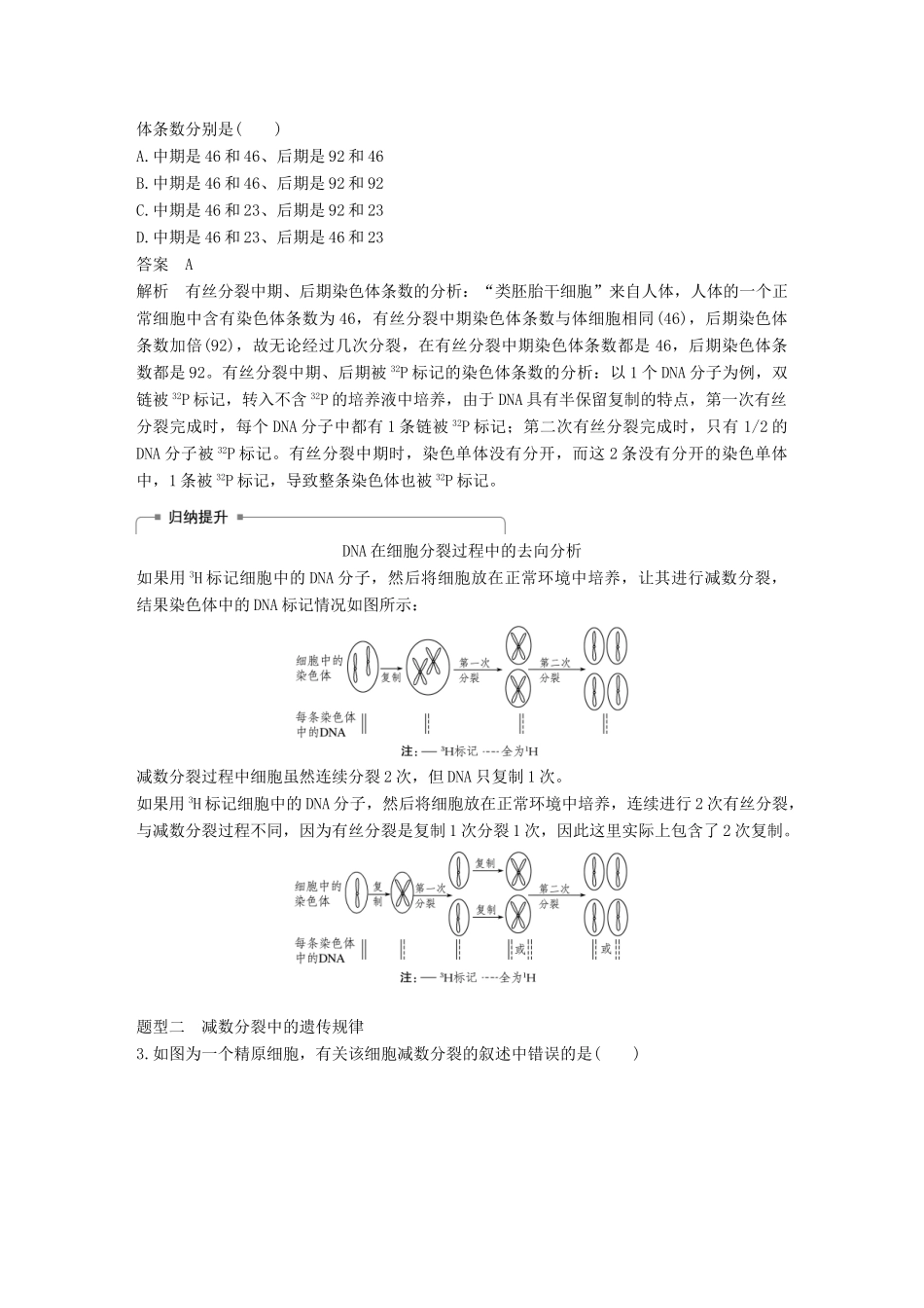 （浙江选考）高考生物一轮总复习 第三单元 细胞的生命历程 热点题型突破二 细胞分裂与遗传变异的关系学案-人教版高三全册生物学案_第2页