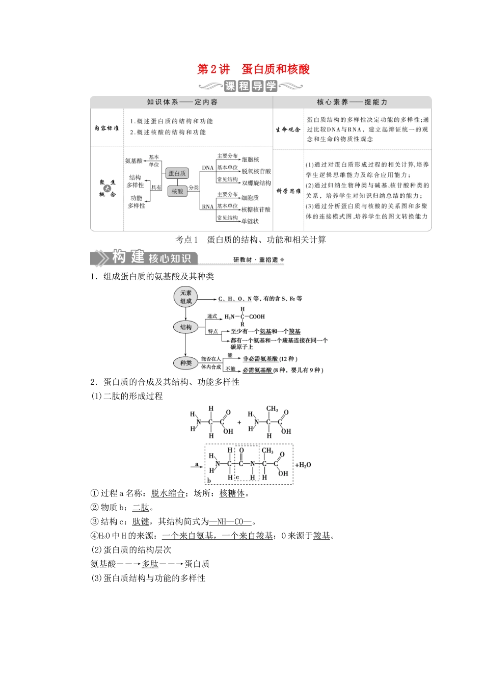 （选考）新高考生物一轮复习 第一单元 细胞的分子组成 第2讲 蛋白质和核酸学案 新人教版-新人教版高三全册生物学案_第1页
