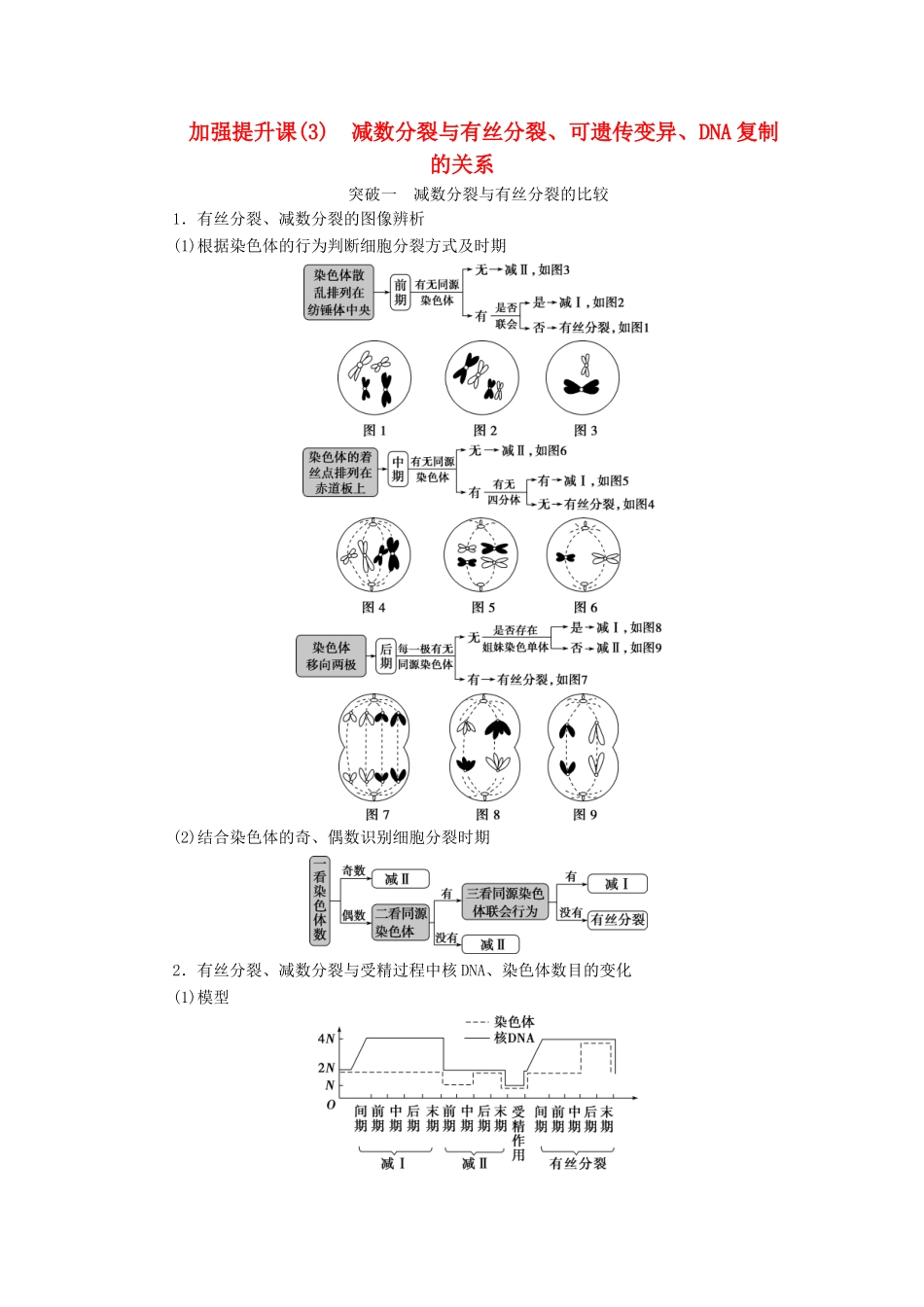 （选考）新高考生物一轮复习 加强提升课（3） 减数分裂与有丝分裂、可遗传变异、DNA复制的关系学案 新人教版-新人教版高三全册生物学案_第1页