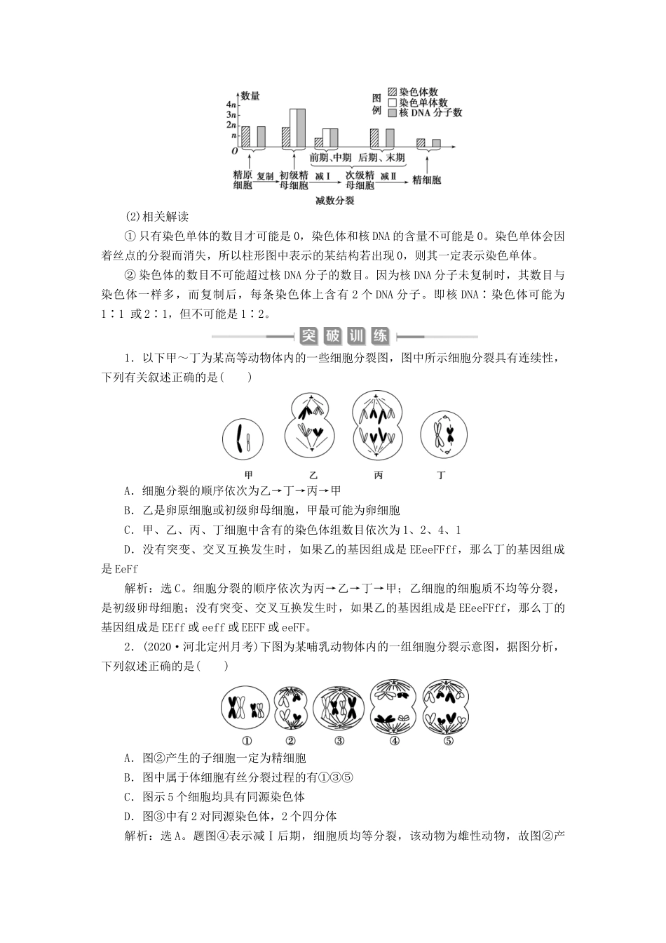 （选考）新高考生物一轮复习 加强提升课（3） 减数分裂与有丝分裂、可遗传变异、DNA复制的关系学案 新人教版-新人教版高三全册生物学案_第3页