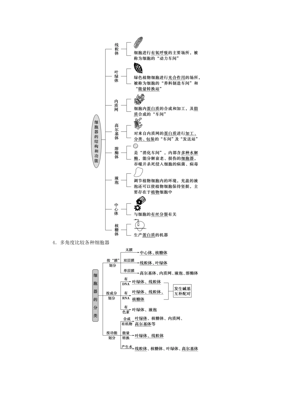 （选考）新高考生物一轮复习 第二单元 细胞的结构和物质运输 第5讲 细胞器与生物膜系统学案 新人教版-新人教版高三全册生物学案_第2页