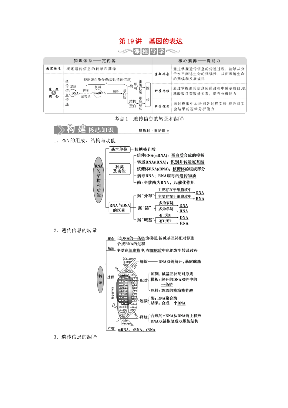 （选考）新高考生物一轮复习 第六单元 遗传的物质基础 第19讲 基因的表达学案 新人教版-新人教版高三全册生物学案_第1页