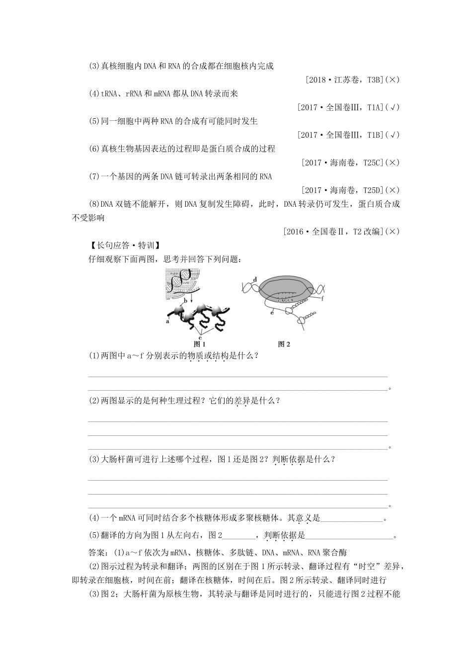 （选考）新高考生物一轮复习 第六单元 遗传的物质基础 第19讲 基因的表达学案 新人教版-新人教版高三全册生物学案_第3页