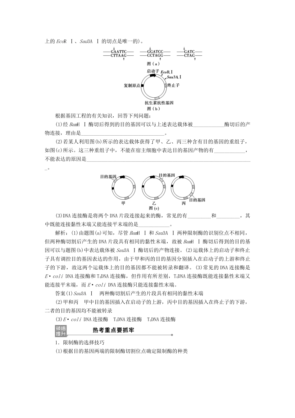 （选考）新高考生物一轮复习 第十单元 生物技术与工程 第34讲 基因工程学案 新人教版-新人教版高三全册生物学案_第3页