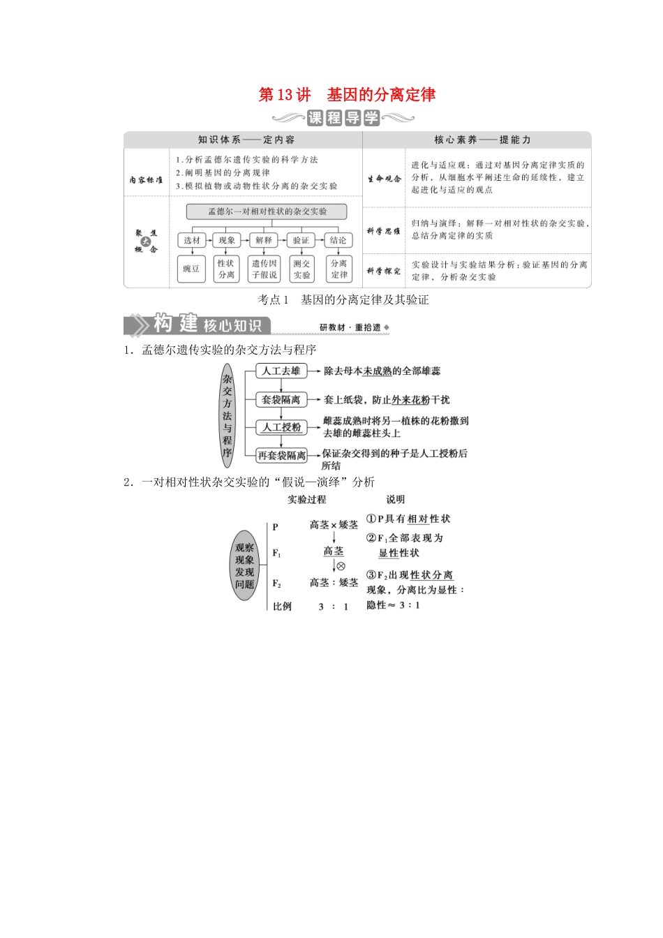 （选考）新高考生物一轮复习 第五单元 遗传的基本规律和伴性遗传 第13讲 基因的分离定律学案 新人教版-新人教版高三全册生物学案_第1页