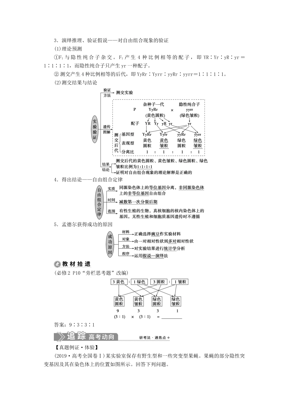 （选考）新高考生物一轮复习 第五单元 遗传的基本规律和伴性遗传 第14讲 基因的自由组合定律学案 新人教版-新人教版高三全册生物学案_第2页