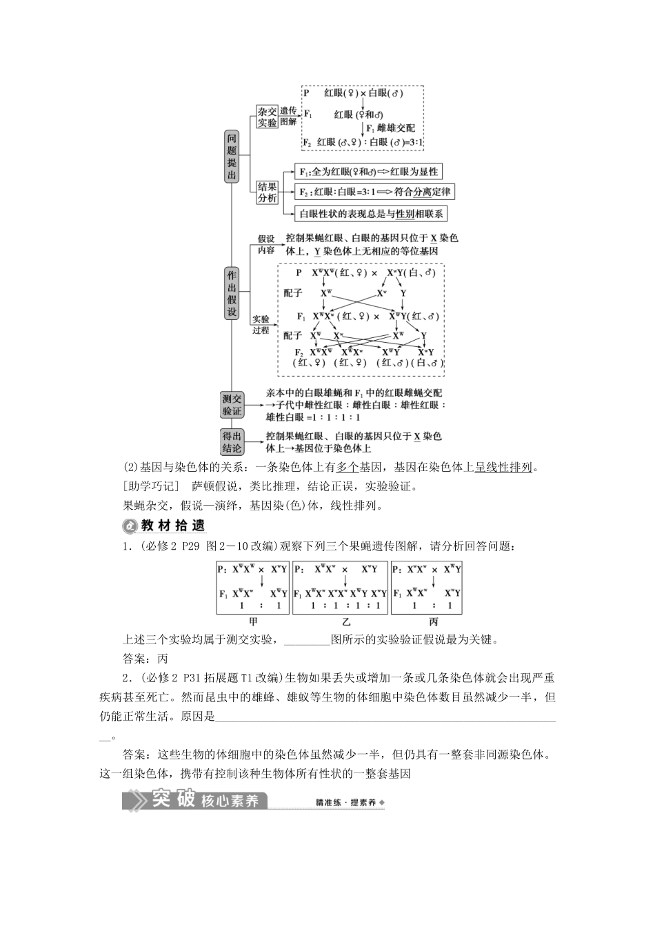 （选考）新高考生物一轮复习 第五单元 遗传的基本规律和伴性遗传 第15讲 基因在染色体上 伴性遗传学案 新人教版-新人教版高三全册生物学案_第2页