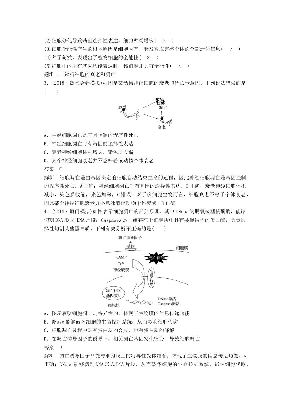 （通用版）高考生物二轮复习 专题三 细胞的生命历程 考点11 细胞的分化、衰老、凋亡和癌变学案-人教版高三全册生物学案_第3页