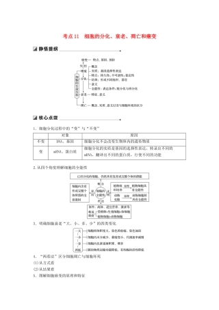 （通用版）高考生物二轮复习 专题三 细胞的生命历程 考点11 细胞的分化、衰老、凋亡和癌变学案-人教版高三全册生物学案