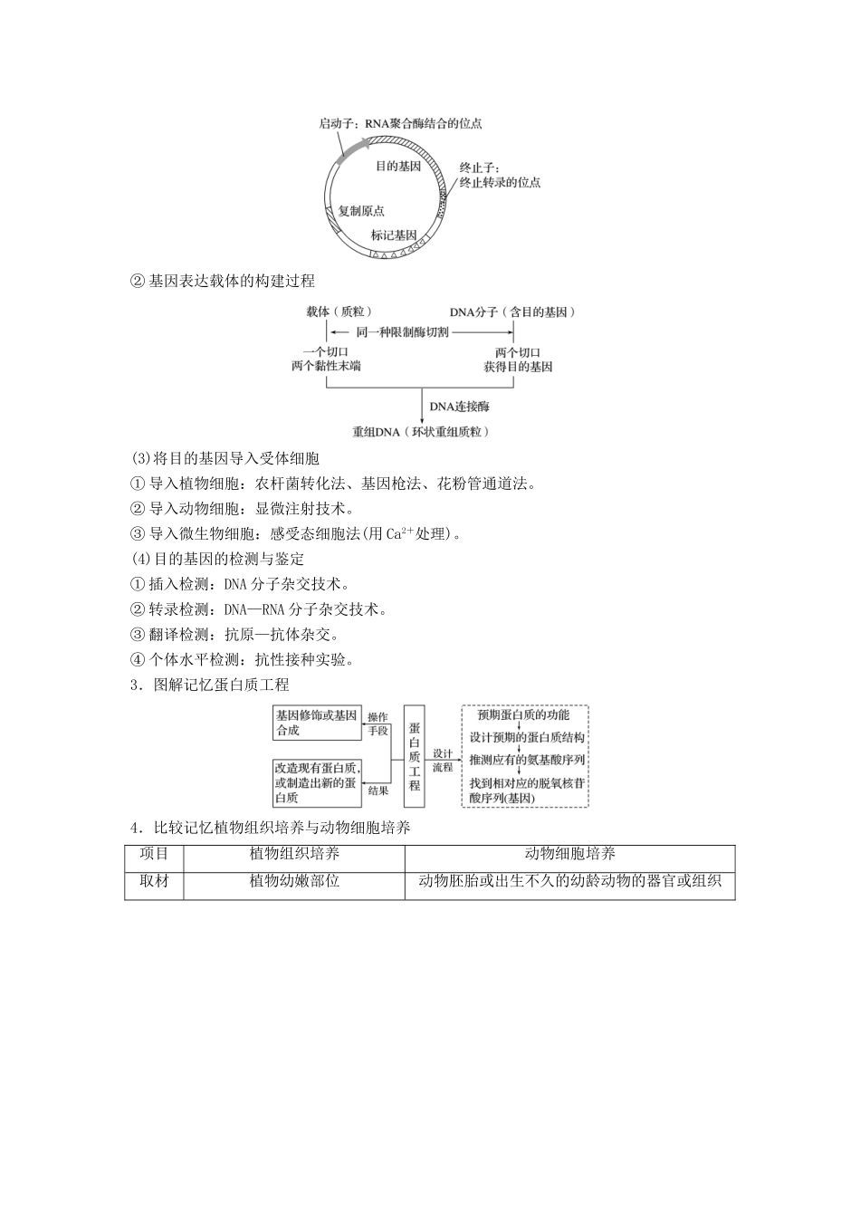 （通用版）高考生物二轮复习 专题十 现代生物科技专题 考点29 基因工程、蛋白质工程和细胞工程学案-人教版高三全册生物学案_第2页