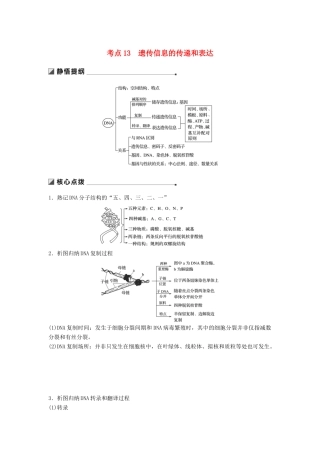 （通用版）高考生物二轮复习 专题四 遗传的分子基础 考点13 遗传信息的传递和表达学案-人教版高三全册生物学案