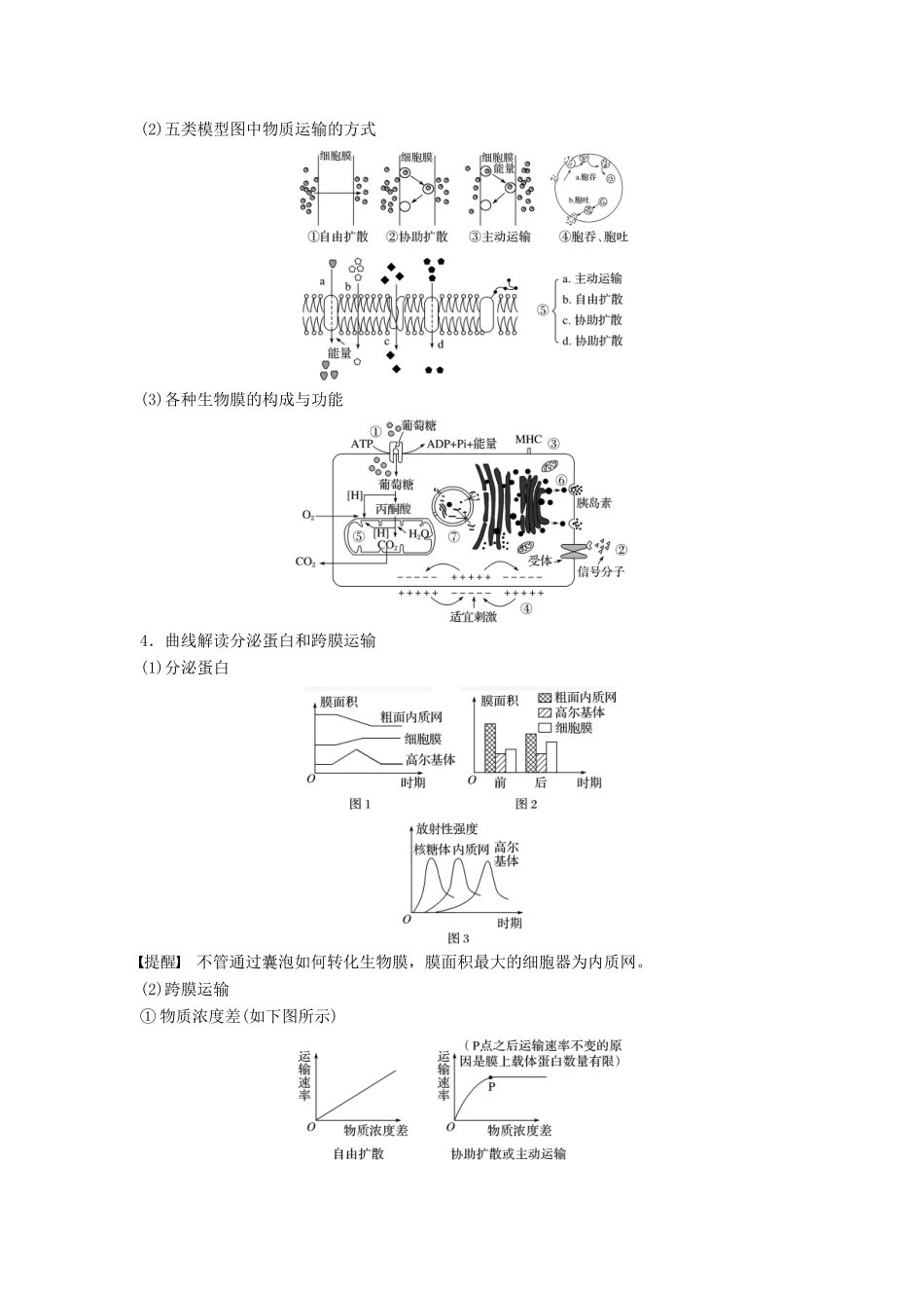（通用版）高考生物二轮复习 专题一 细胞的分子组成、基本结构和生命历程 考点2 细胞的分类、结构与功能学案-人教版高三全册生物学案_第3页