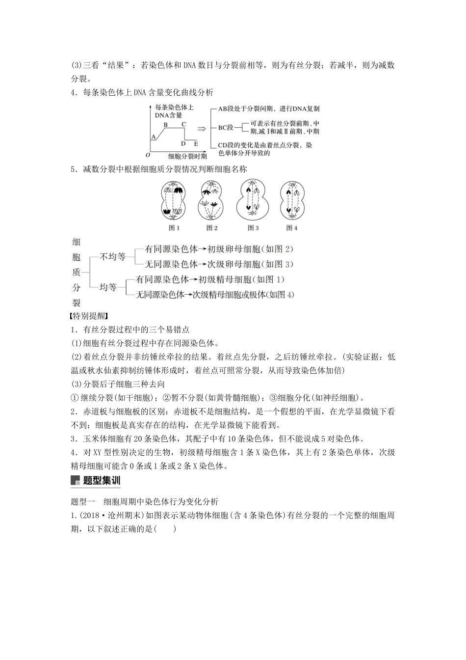 （通用版）高考生物二轮复习 专题一 细胞的分子组成、基本结构和生命历程 考点3 细胞的增殖学案-人教版高三全册生物学案_第2页