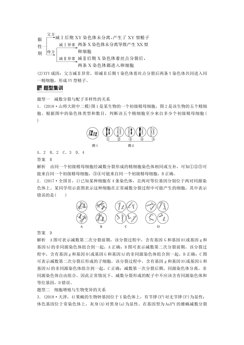 （通用版）高考生物二轮复习 专题一 细胞的分子组成、基本结构和生命历程 考点4 细胞增殖与遗传变异的联系学案-人教版高三全册生物学案_第2页