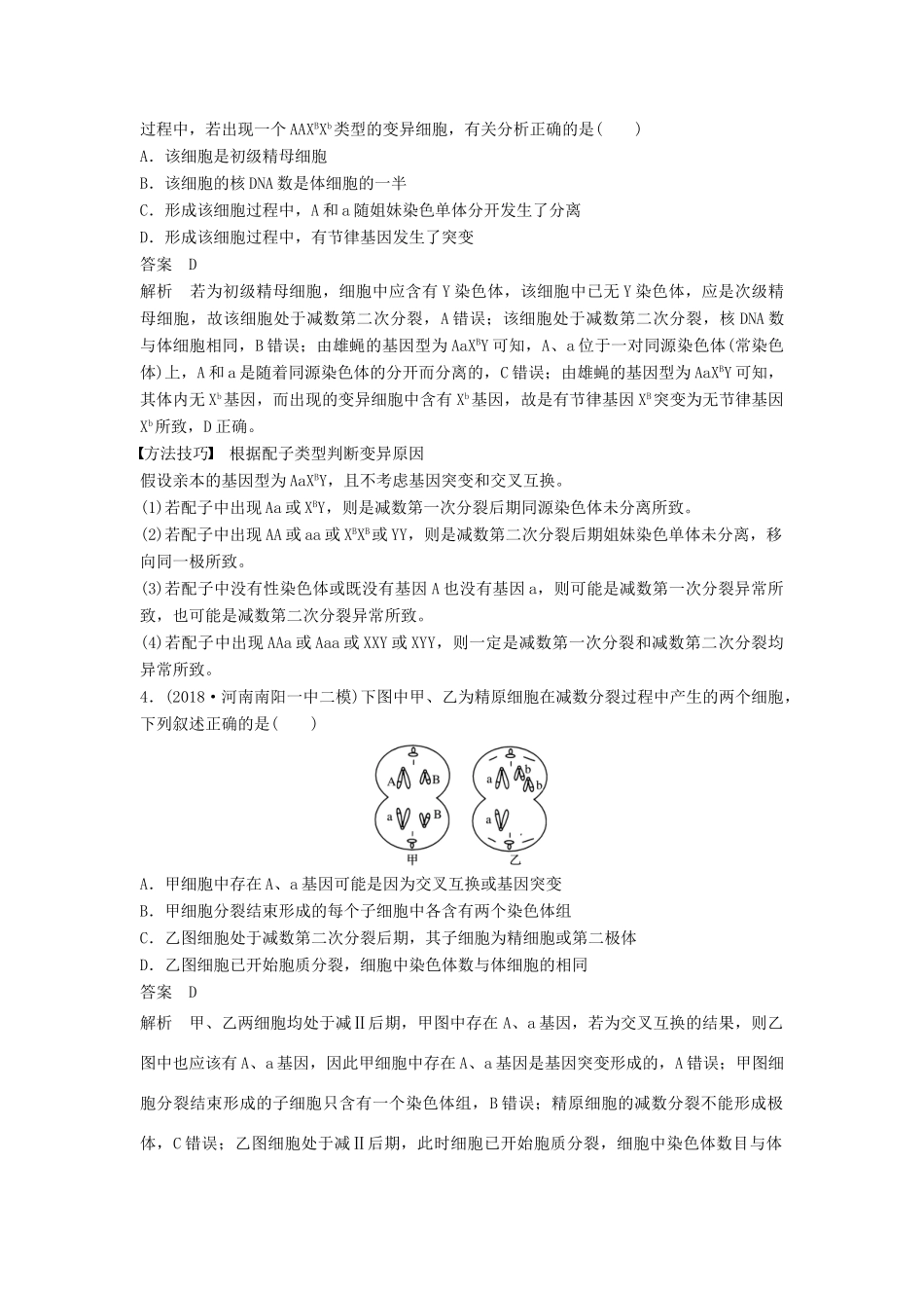 （通用版）高考生物二轮复习 专题一 细胞的分子组成、基本结构和生命历程 考点4 细胞增殖与遗传变异的联系学案-人教版高三全册生物学案_第3页