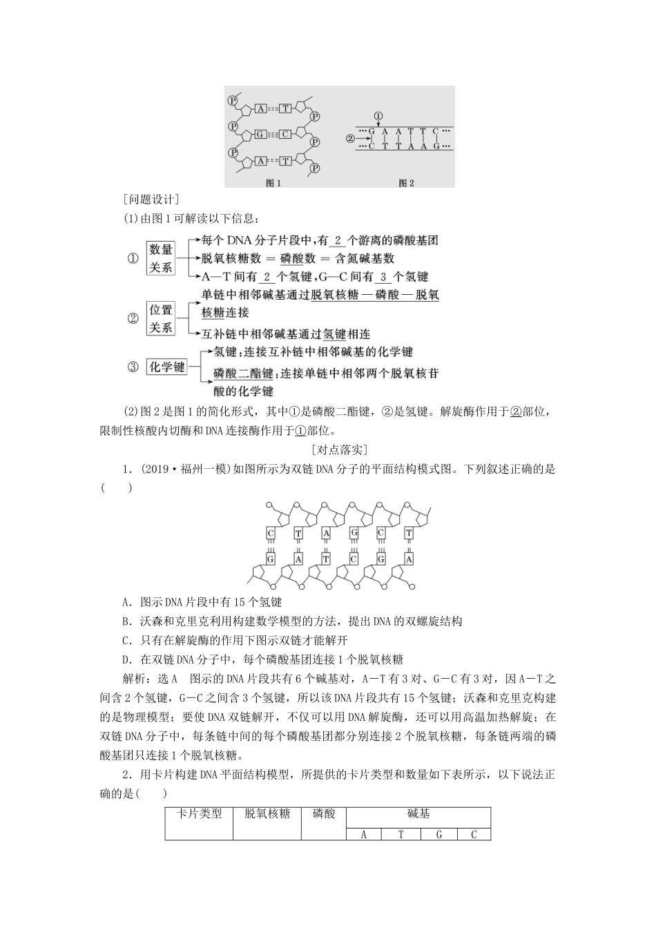 （通用版）高考生物一轮复习 第六单元 第二讲 DNA分子的结构、复制与基因的本质学案（含解析）-人教版高三全册生物学案_第3页