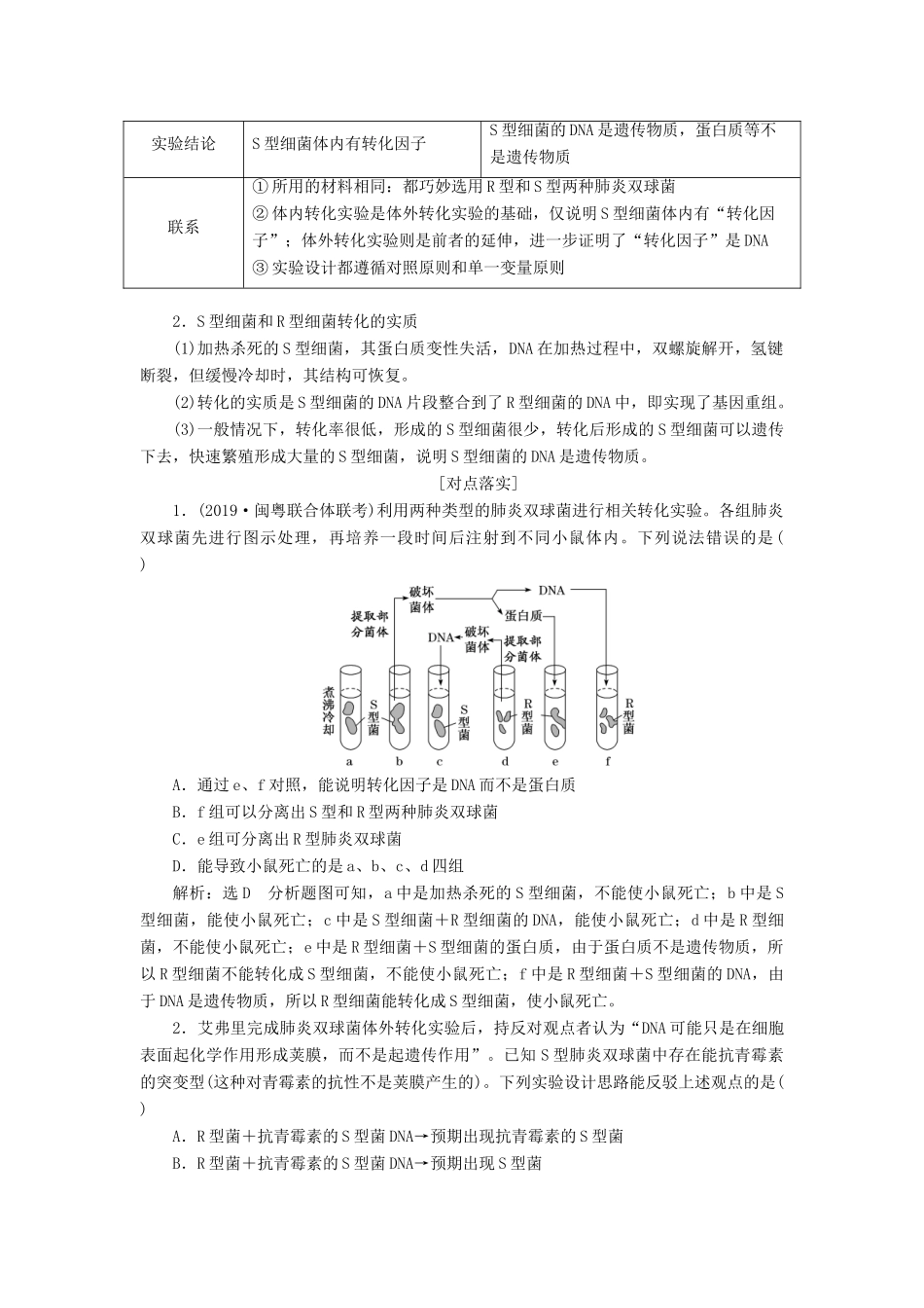 （通用版）高考生物一轮复习 第六单元 第一讲 DNA是主要的遗传物质学案（含解析）-人教版高三全册生物学案_第3页