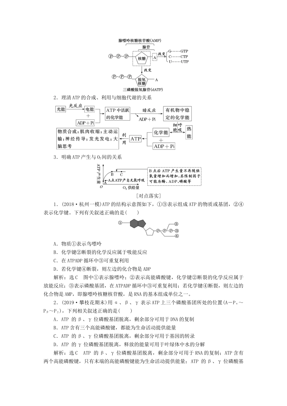 （通用版）高考生物一轮复习 第三单元 第二讲 ATP与细胞呼吸学案（含解析）-人教版高三全册生物学案_第3页