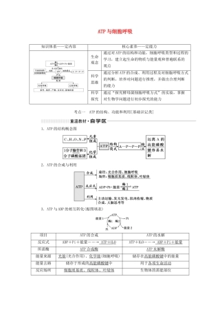 （通用版）高考生物一轮复习 第三单元 第二讲 ATP与细胞呼吸学案（含解析）-人教版高三全册生物学案
