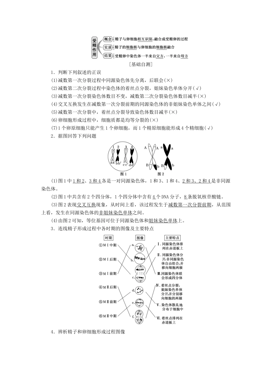 （通用版）高考生物一轮复习 第四单元 第三讲 减数分裂与受精作用学案（含解析）-人教版高三全册生物学案_第3页