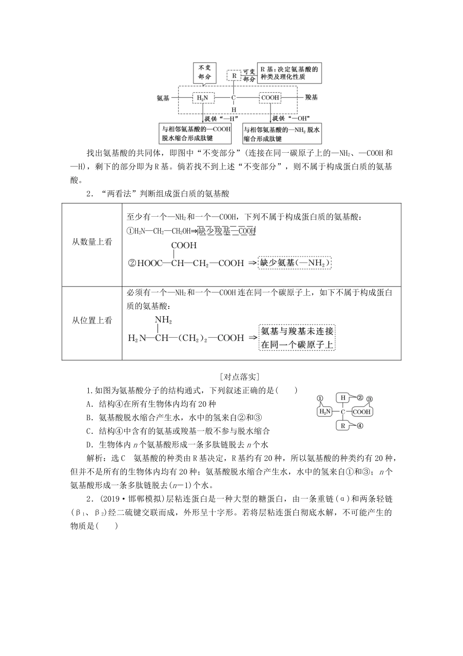 （通用版）高考生物一轮复习 第一单元 第四讲 生命活动的主要承担者——蛋白质学案（含解析）-人教版高三全册生物学案_第3页