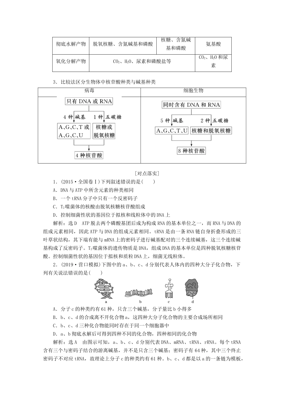 （通用版）高考生物一轮复习 第一单元 第五讲 核酸、糖类与脂质学案（含解析）-人教版高三全册生物学案_第3页
