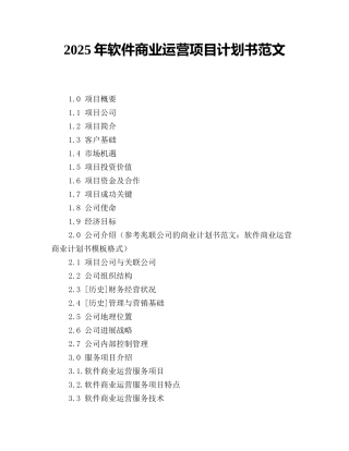 2025年软件商业运营项目计划书范文