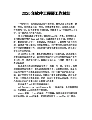 2025年软件工程师工作总结