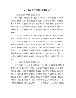 2025年软件工程师试用期总结(1)