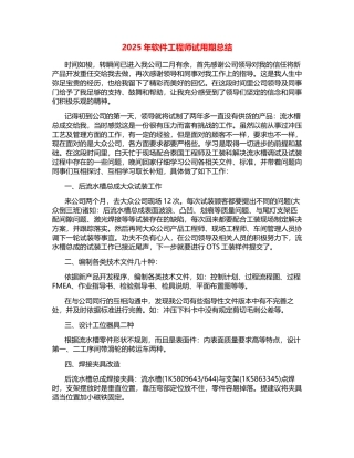2025年软件工程师试用期总结