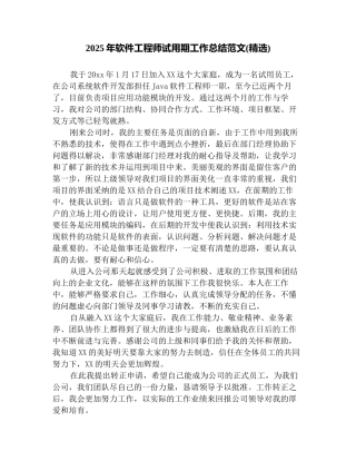 2025年软件工程师试用期工作总结范文(精选)