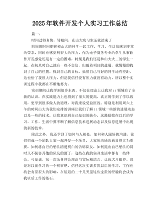 2025年软件开发个人实习工作总结