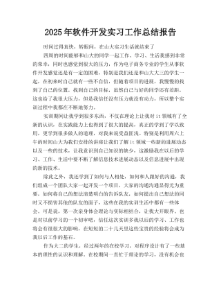 2025年软件开发实习工作总结报告