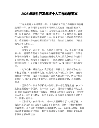 2025年软件开发年终个人工作总结范文