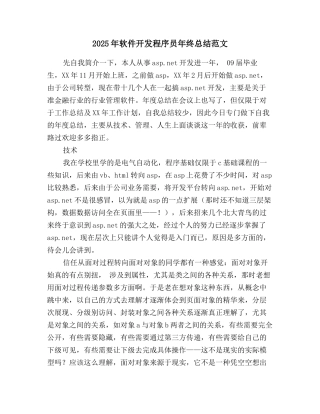 2025年软件开发程序员年终总结范文