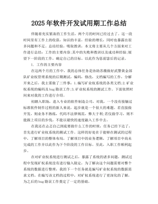 2025年软件开发试用期工作总结
