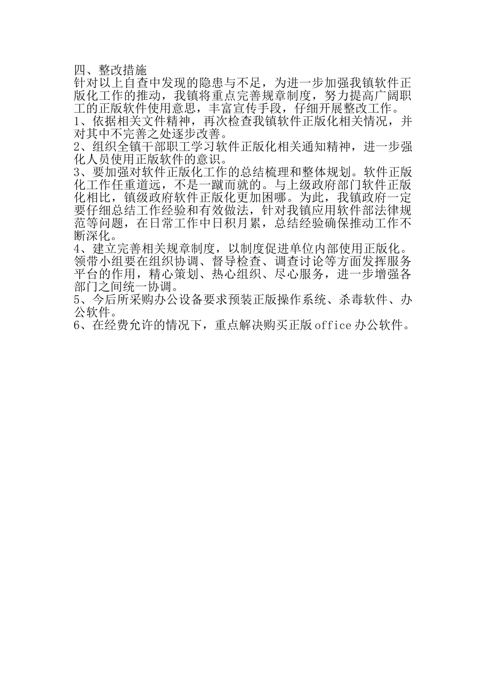 2025年软件正版化检查整改工作总结范文_第2页