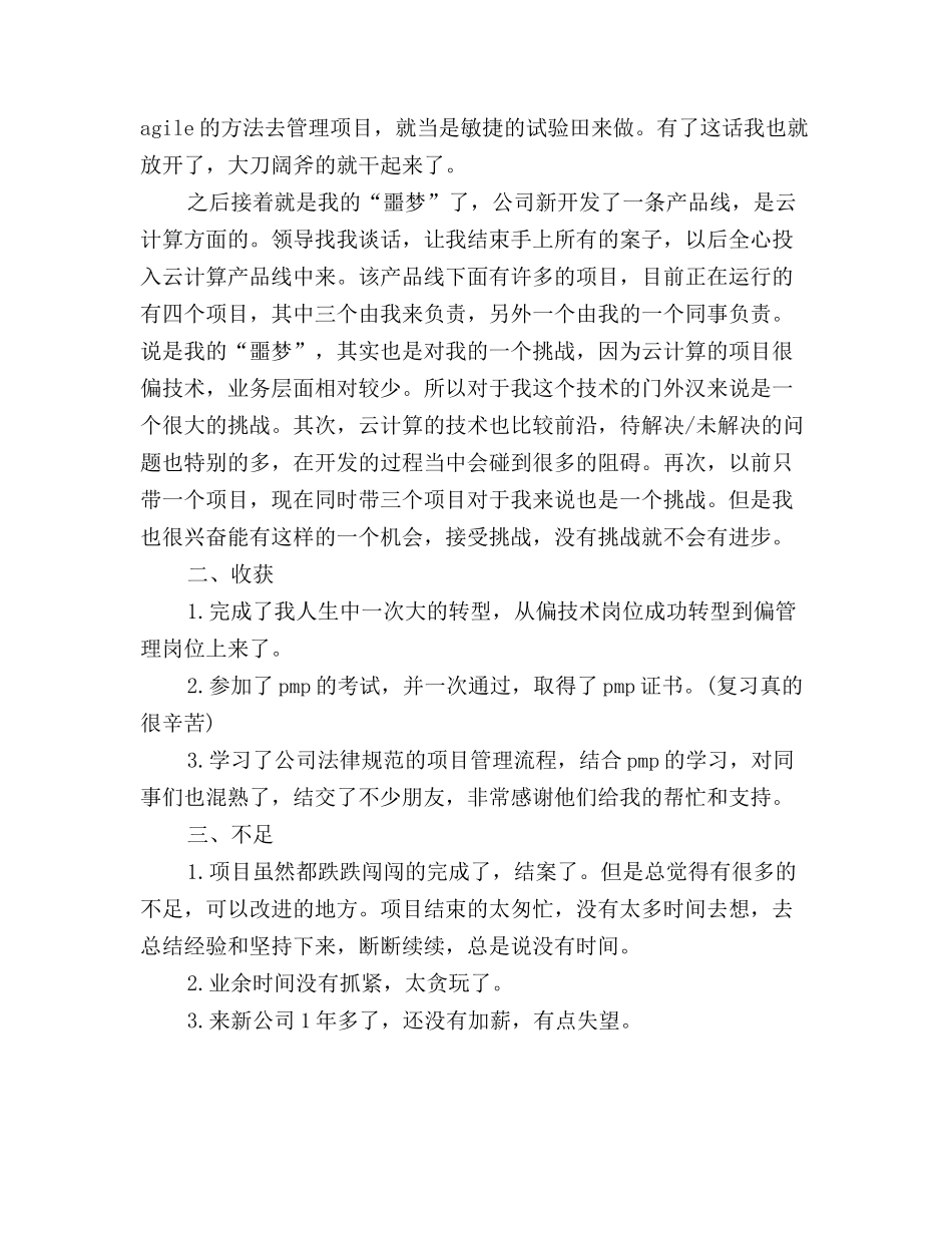 2025年软件项目工作总结2篇_第3页