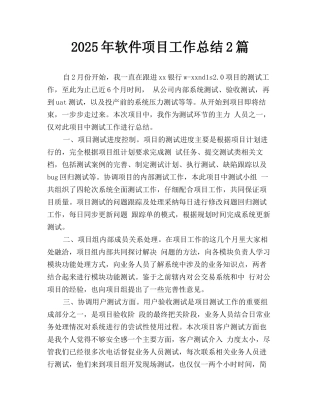 2025年软件项目工作总结2篇