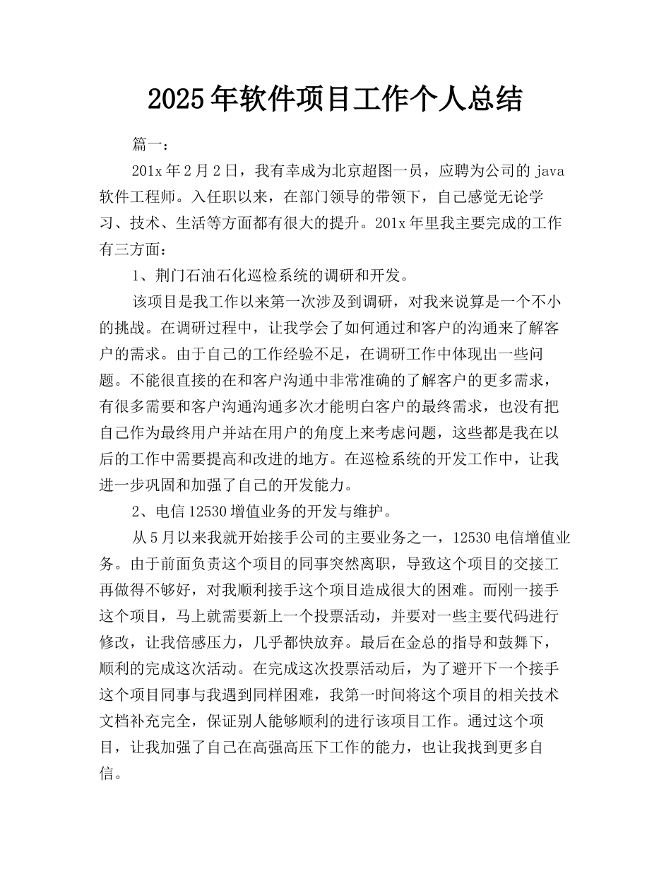 2025年软件项目工作个人总结_第1页