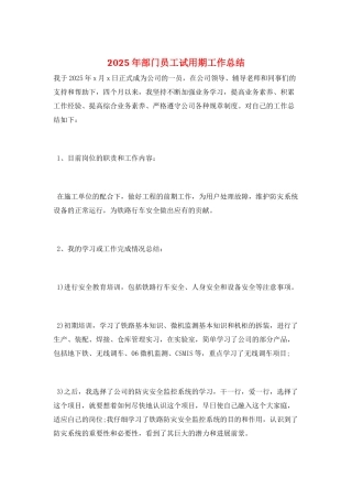 2025年部门员工试用期工作总结