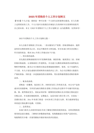 2025年采购员个人工作计划例文