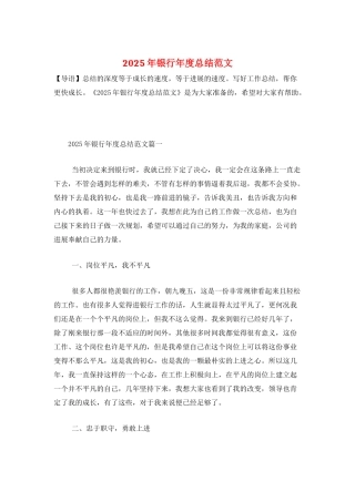 2025年银行年度总结范文