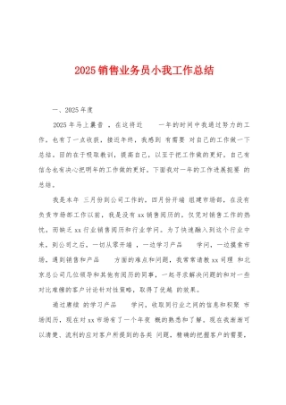 2025年销售业务员小我工作总结