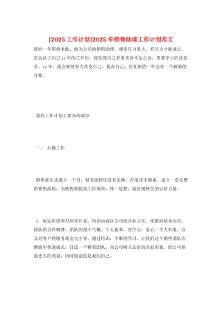 2025年销售助理工作计划范文